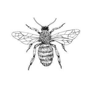 Meet your Posher, Alice